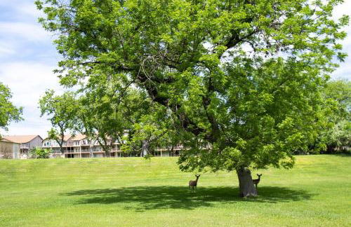 5 O Clock Somewhere WW H302 - Foto 36