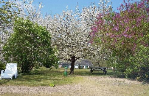 Au Clos Paillé La Roche Posay - Foto 54