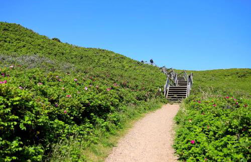 Dünengrund 3, W5, liebeUNDträume - Foto 26