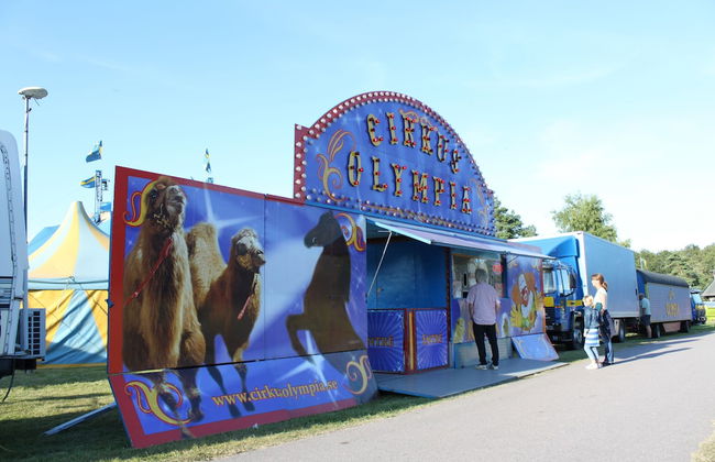 Haga Park Camping & Stugor - Foto 73