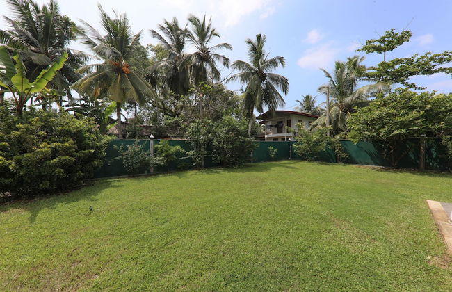 Morning Guest can see Momkeyies and Birds - Foto 25