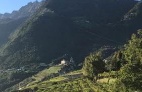 Villa Corazza-Bezauberndes Appartment+ Schwimmbad - Foto 8