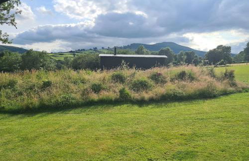 Shepherd's Hut in heart of the Brecon Beacons - Photo 8