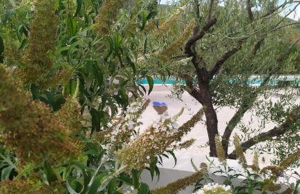 Villa Olivi - a natural paradise near Motovun - Foto 74