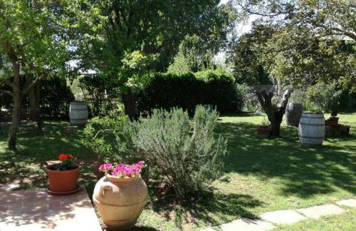 Agriturismo Podere Pizzicagallo - Foto 55