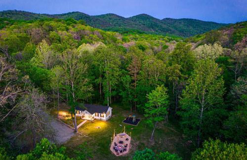 NEW! Shenandoah family & dog friendly cabin - 5 min walk river with private river access, BBQ, playground, fire pit - Foto 32