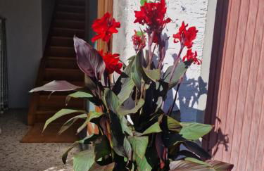 Der perfekte Ausgangspunkt - Foto 21