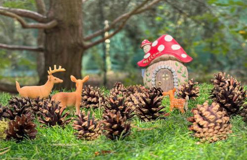 Ackermannia - Foto 23