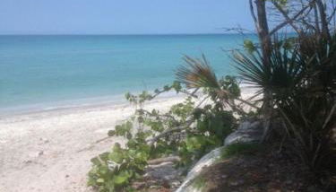 Tropical Beach House- 100 Steps to the Gulf! - Foto 3