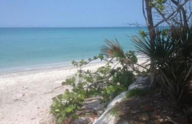 Tropical Beach House- 100 Steps to the Gulf! - Foto 3