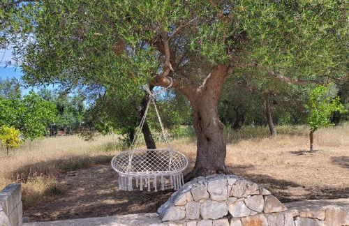 Trullo Tita - Foto 21