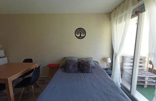 Pla d' Adet, appart 4 personnes Résidence le Grand Stemm , station de ski Saint Lary , pieds des pistes et randonnées - Photo 18