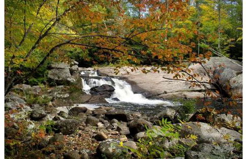 Gorgeous Safari Tent Rental Ideal for Glamping in Upstate New York - Photo 6