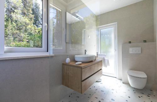 My seagull - Photo 53