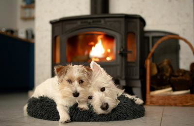 Domki Ulkowo - Foto 16