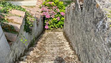 Une maraîchine en bord de conche avec barque sans linge de maison - Foto 4, Garden