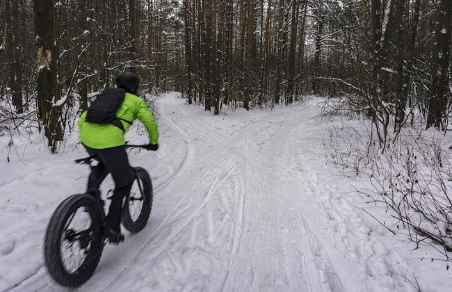 Grand View Log Cabin - Photo 43