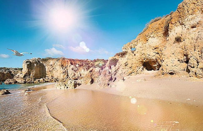 Casa Amendoeira Large Private Pool Wifi - Foto 34