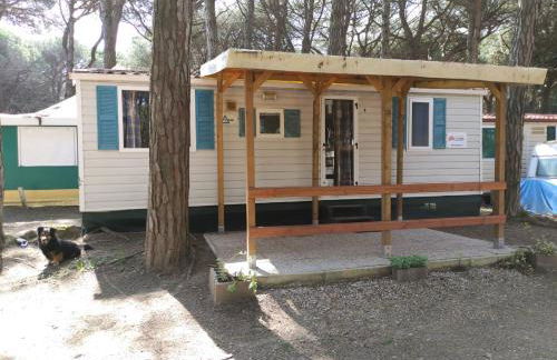 Mipro Mobilhome 5 - Foto 6