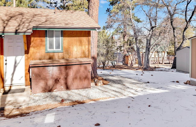 Sugar Bear Crossing #2496 - Foto 17