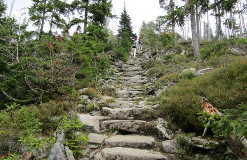 "Das Jagdhaus"- Chalet am Skigebiet mit Sauna - Foto 10