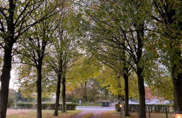 Wohnen im ehemaligen Kuhstall Stiehler Farm - Foto 30