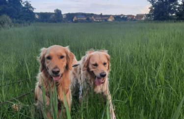 Bungalow Mika und Lizzy - Foto 17