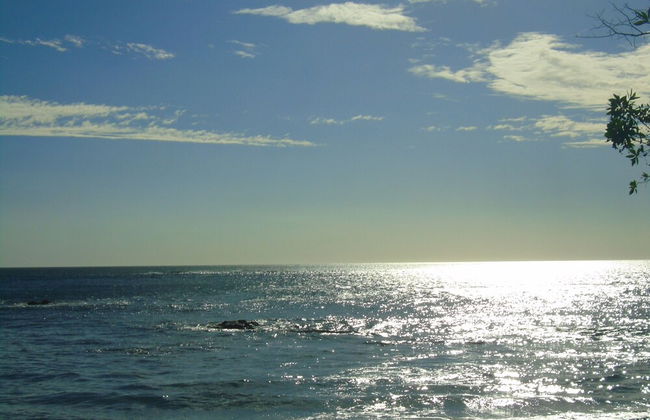 You Imagine Costa Rica Our Location Being on the Beach is What You Imagine - Foto 6