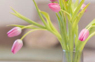 City Green Appartement - Foto 28