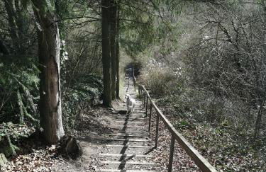 Ferienwohnung Julianna - Foto 44