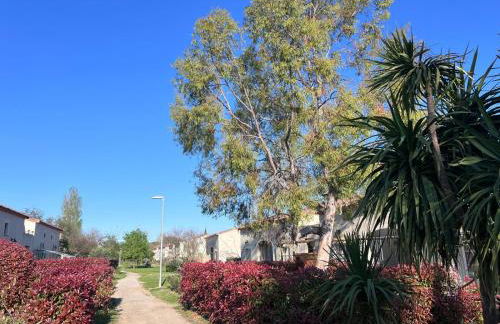 Gabin sous les Oliviers - Foto 27