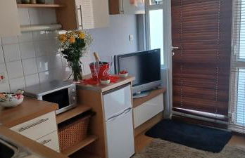 Chalet with hot tub room - Foto 11