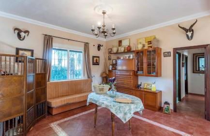 Huerta Tío Pipa Aznalcázar by Ruralidays - Foto 11