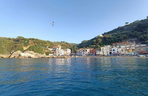 Brezza Marina - Foto 52