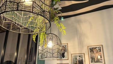 Studio Savane - 5 min du Zoo - Photo 3