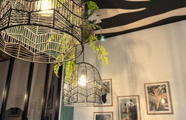 Studio Savane - 5 min du Zoo - Photo 3