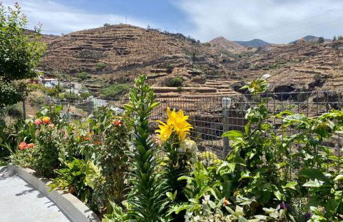 Juncalillo House - Foto 41