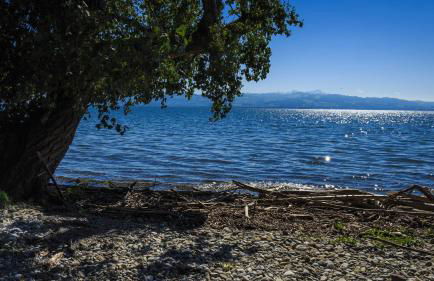 Ferienwohnung Seemöwe - moderner Komfort mit Balkon & WLAN am Bodensee - Photo 9