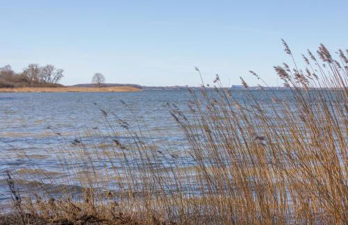 Ferienhaus vor Rügen - Foto 16