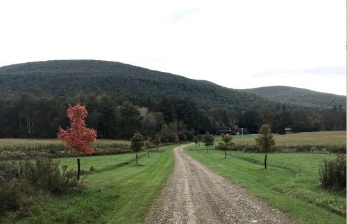 Upscale Rustic Cabin Surrounded by Spacious Pennsylvania Countryside near Pine Creek Gorge - Foto 19
