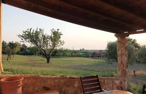 Ελαιώνας και θάλασσα - Foto 7