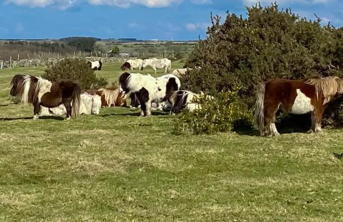 Cross Cottage - Foto 13