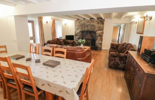 Bryn Dedwydd Farmhouse - Photo 5