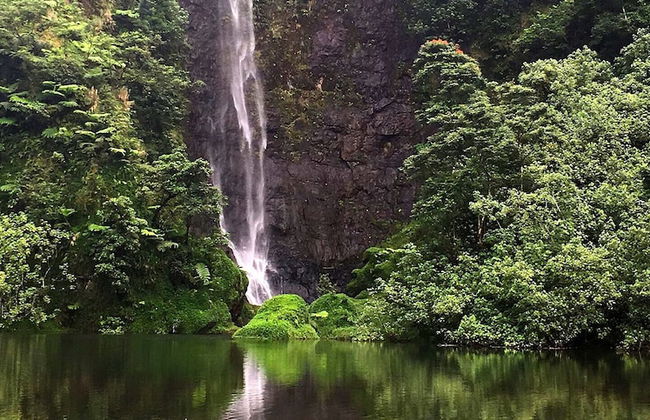 Bounty Lodge - Photo 65