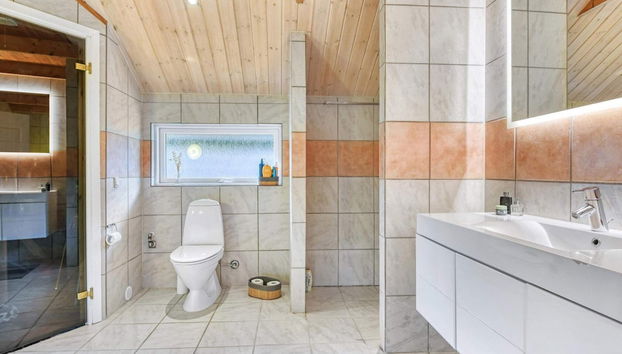 5 Star Holiday Home in Oksbol - Foto 3, Sauna