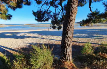 L'Ilot du Men Du - Charme - WiFi - 2 vélos - Plages à pied - 3 étoiles - Foto 33
