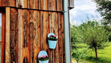 Liljas Haus im Spreewald - Foto 3, Garden