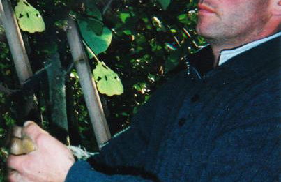 Agriturismo Podere dei kiwi - Foto 35