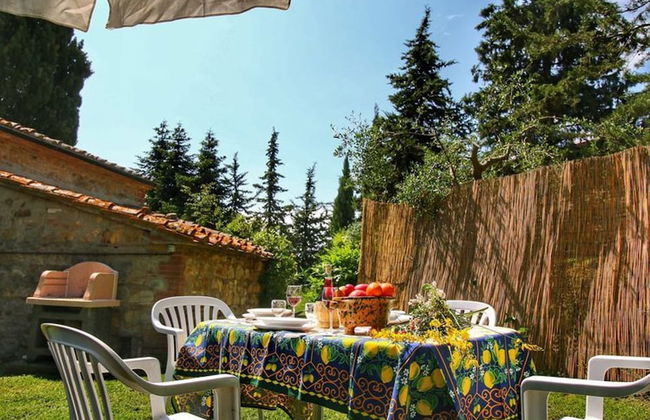 Bellavista farm of Quercini Maurizio - Foto 54