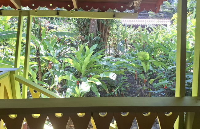 El Jardin de Playa Negra - Foto 42